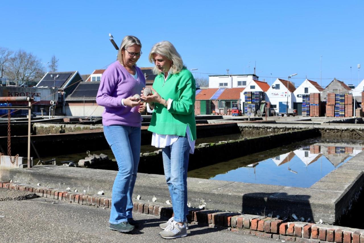 Vakantiewoning T Uusje Wemeldinge Esterno foto